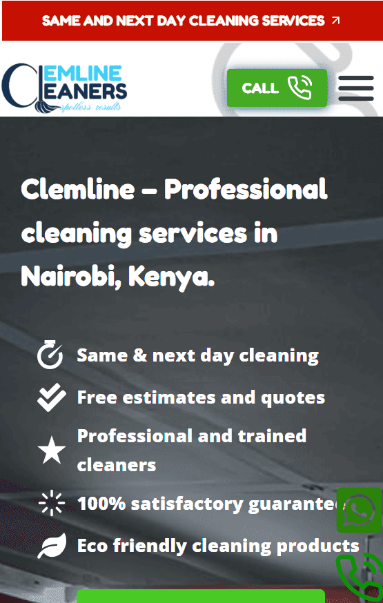 cleaning services company web design services in kenya